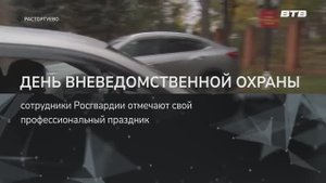 ДЕНЬ ВНЕВЕДОМСТВЕННОЙ ОХРАНЫ