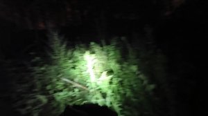 Налобный фонарь YYC-310-T6