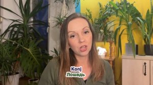 Сербский язык. Животные.