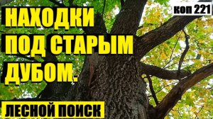 или ЭТО НЕ ЛЕС, А КОШЕЛЕК КАКОЙ-ТО, СНОВА СЕРЕБРО!!! коп 221