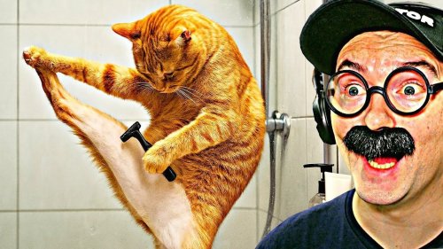 Десмоидты жою және жыныстық қатынас Жігіттер шарларды жалап жатқан порно