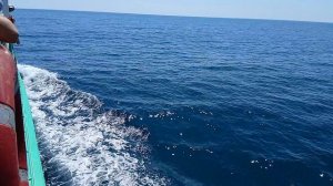 #Прогулка с зажигательным ведущим # Абхазия @