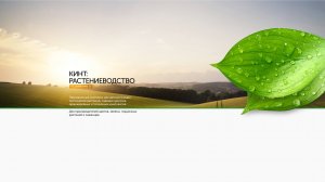Кинт: Растениеводство