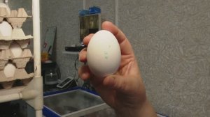 Зәй кибетләрендә  йомыркага бәяләр үзгәргәнме?