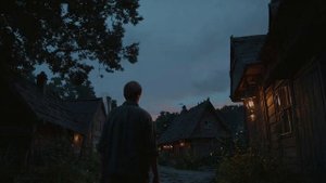 В Мещерских тех местах🌲🦬🌳 (6ч поэмы Мещера).