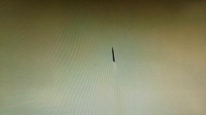 О чëм писал Максим Горький в поэме "Песня о буревестнике"? Про "Буревестник" для США!