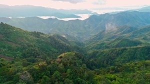 УСПОКАИВАЮЩАЯ И РАСЛАБЛЯЮШАЯ МУЗЫКА ДЛЯ ДУШИ