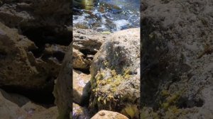 Техника релаксации Метод 4-7-8