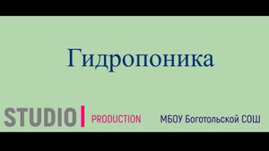 Гидропоника 2025