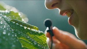 How to Make iPhone Cinematic