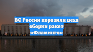 ВС России поразили цеха сборки ракет «Фламинго»