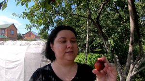 Приехали на дачу. Встреча с родственниками. На ужин шашлык и прочие вкусности. Август 2022