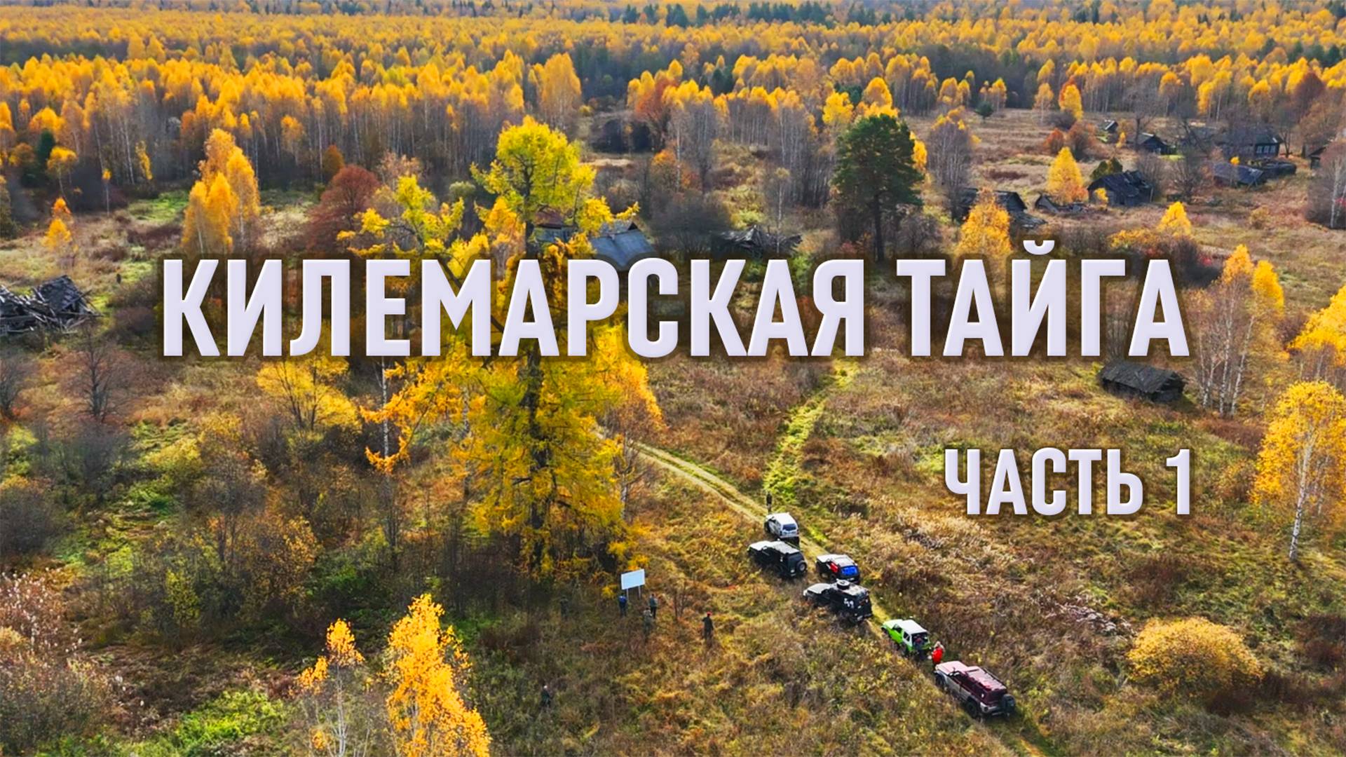 Марийская СВЯЩЕННАЯ лиственница. РАТНАЯ тропа Ивана Грозного. ЮРОНГА.  КИЛЕМАРСКАЯ ТАЙГА 2025. смотреть онлайн