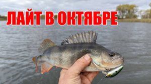 Погонял щучек на лайтовые воблеры в октябре