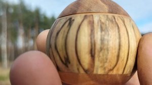 Шкатулка в октябрьском лесу с жёлтой листвой березок