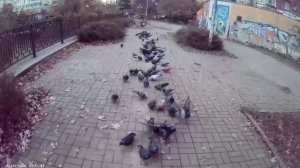 ДВИГАТЬСЯ ДАЛЬШЕ