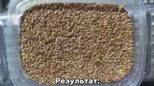 Финишная очистка семян льна на фотосепараторе Сапсан SE 3 в составе семенной линии