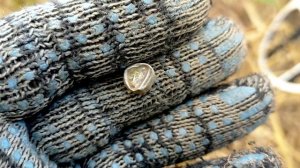 Коп № 216 Находки на перепаханных полях