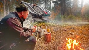 Лёг спать в избушке в глуши и началось. Таёжная жизнь на дикой реке. Сбор клюквы в Карелии
