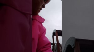 VID20251101141823.mp4