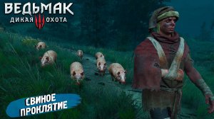 СВИНОЕ ПРОКЛЯТИЕ ➤  Ведьмак 3 Дикая Охота #74