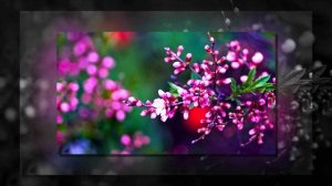 Freud - Mystery Moon