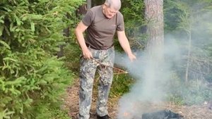 PS_Сказка леса