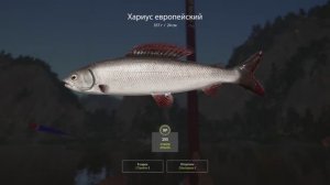 РУССКАЯ РЫБАЛКА 4. РЫБАЛКА ДЛЯ ДУШИ !!! ЛОВИМ ХАРИУСА НА БЕЛОЙ!