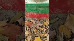 Стрим:3
Мишка🐱 жду тебя