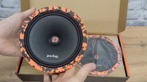 Громкие даже от штатки DL Audio Barracuda 165 V.2