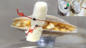 Оригинальная кормушка из ракушки для донной ловли! Как сделать кормушку для рыбалки из ракушки! 🦈🐋