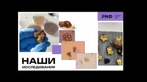 Всероссийский лекторий РНФ. Пара слов о русском трюфеле