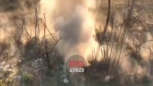 Штурма совместно с птичниками забирают укреп у ВСУ