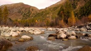 2 ноября - Решается судьба каждого.
