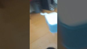 МЕТЕЛЬ ПЕРВАЯ ГЛАВА! МАНЬЯК АКТИРОВАТЬ ЭЛЕКТРИЧЕСТВО КЛЕТКУ И Я ВЫРУБИЛСЯ! МЕТЕЛЬ В РЕАЛЬНОЙ ЖИЗНИ