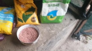 Подготовка к основному кормлению. Ликбез по удобрениям в двух словах.