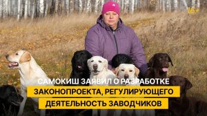 Самокиш заявил о разработке законопроекта, регулирующего деятельность заводчиков