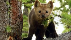 Какие разные желания......!😆