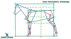 Как рисовать лошадь