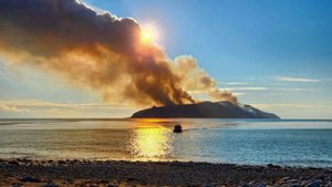 Народный патруль 04.11.2025