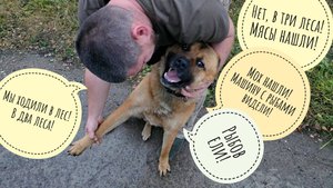 Псу Кубику счастье привалило! На прогулке встретили лося, аллигатора и Артёма!