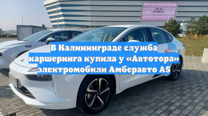 В Калининграде служба каршеринга купила у «Автотора» электромобили Амберавто А5