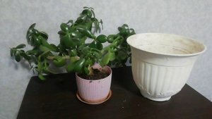 Красивый рассвет 💓Выступление в доме культуры 💓