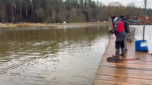 Поимки  форели!