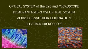 MPM11 - Optical Systems