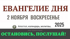 2 ноября воскресенье Евангелие дня 2025 с толкованием #евангелие