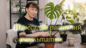 Пересаживаем растения, смотрим результат.