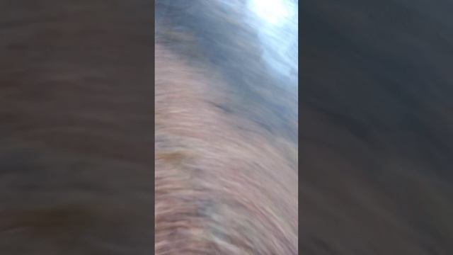 Мы прогнали маньяка из леса с Захаром