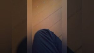 ГРЕННИ И ГРЕНДПА ПРЕСЛЕДУЮТ НАС В ЛЕСУ (ЧАСТЬ 4)