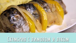 Скумбрия с лимоном и луком в духовке. Как просто приготовить скумбрию вкусно.